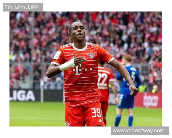 德甲球队逐渐恢复训练备战联赛重启欣欣向荣